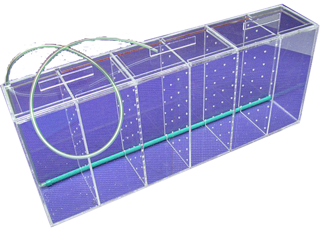 Выносные аквариумы для торговли рыбками и растениями Выносные аквариумы для торговли рыбками и растениями
